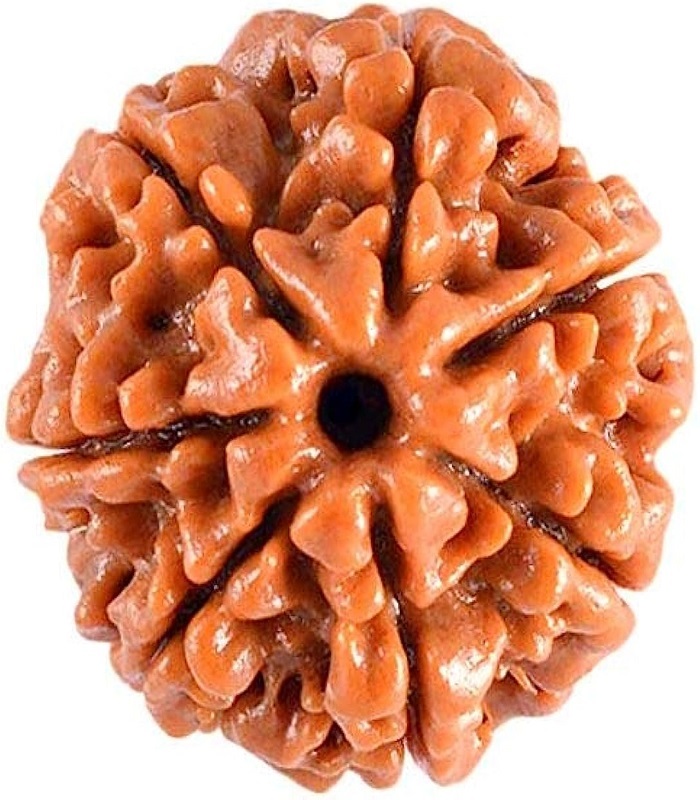 RUDRAKSHA Seed Beads